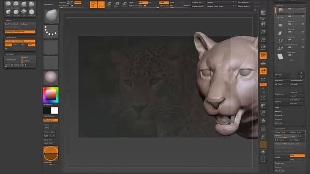 Tiger to Leopard speed sculpt