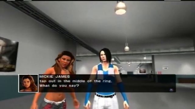 SDvR2011 CAW Montage - Part 27 - Raw Segment Galore.........(2)