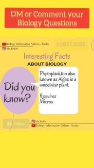 Microscopic Plant exists in Nature l Biology Interesting Facts #shorts #fact #facts #bivkedar