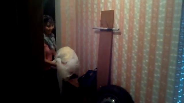 VID_20120822_134454