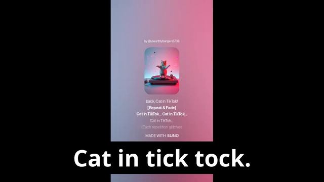 English version of "Cat in TikTok"!