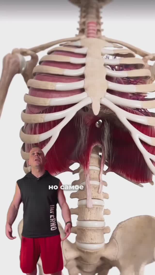 Зачем эффективно дышать?