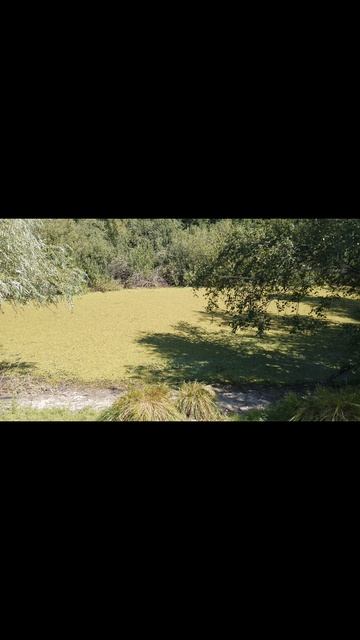 1000091725.mp4