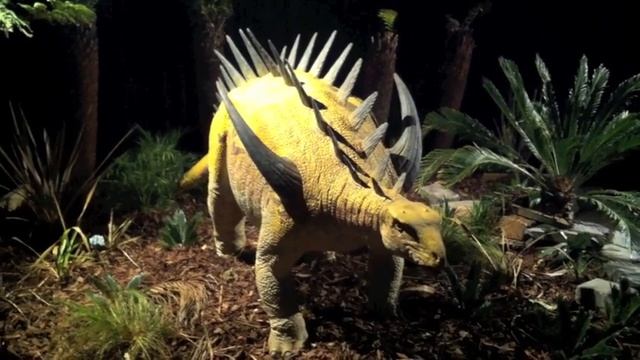 Dinosaurs Alive - Huayangosaurus