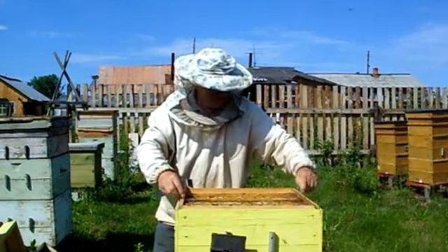 Осмотр хвоста