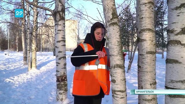 21.02.2025 Завершился чемпионат по профессиональному мастерству Профессионалы