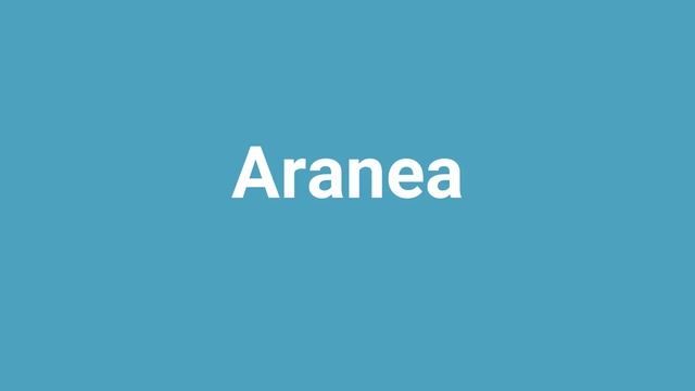 'Aranea' Meaning and Pronunciation