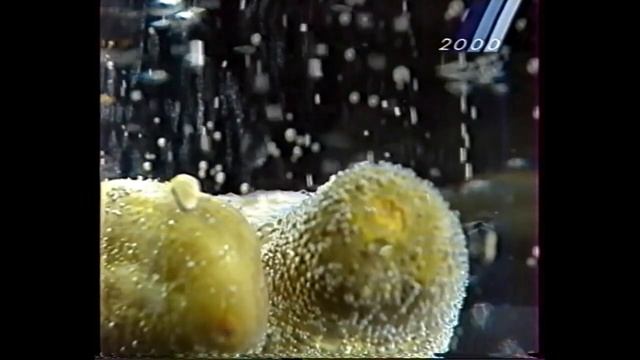 Две рекламные заставки (ТВЦ, 1999) Огурец