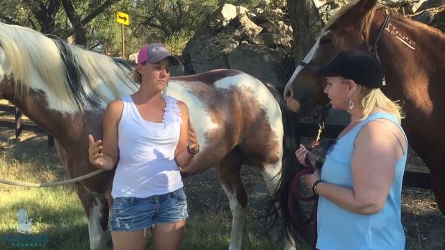 Wild Horses:  Animal Rescue at Hunter Horsemanship — Front Porch Therapy with Gail Trauco