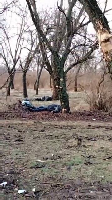 ТерОборона Украины съедается собаками в парке. 18+