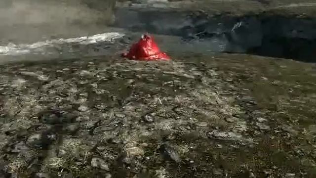ImmaKrabs joins Skyrim