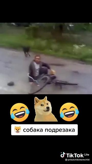 Собака подрезака