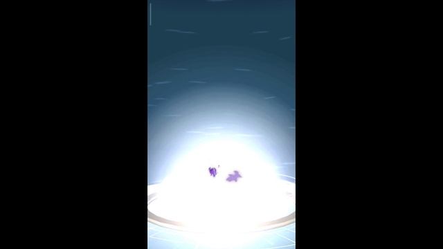 Pokémon GO-Purifying Shadow Barboach