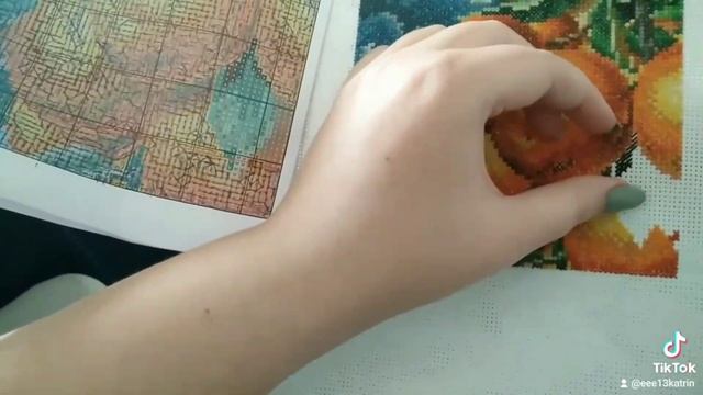 #14 мандарины и птичка