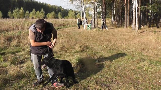 Grazl z Ev-Pa в ринге