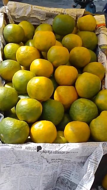Santra 80 rupaye darjan|retail price orange#short videos