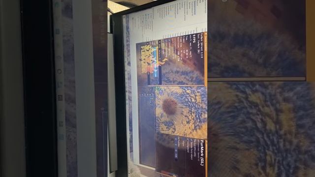 1000003210.mp4
