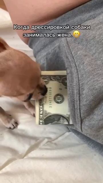 На вкусняшки.MP4