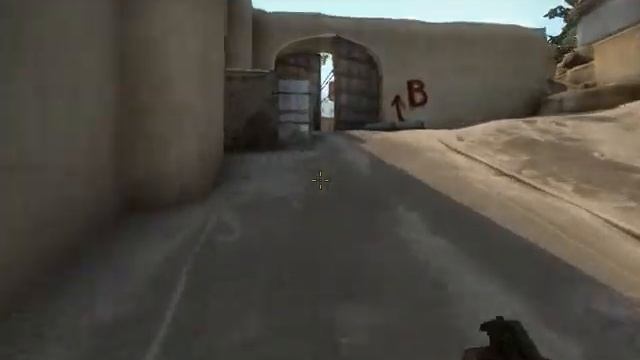 Bizon ace