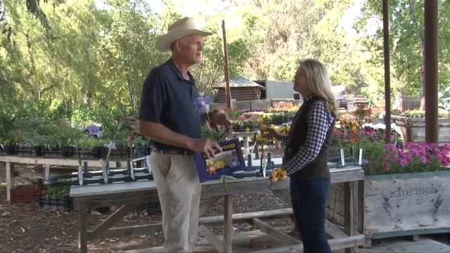 Seeag Grower Spotlight Greenwood Daylily Gardens