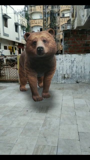 Bear 🐻🐻🐻🐻.       #shorts #ompandey30 #pet #animal