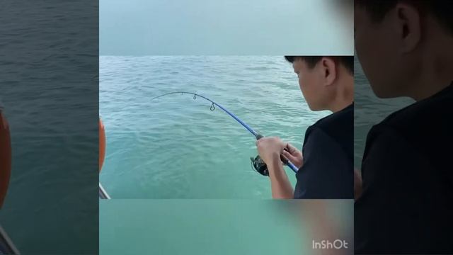 Seahawk Big Strike Wizard 150 (White Tiger)