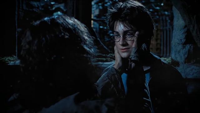 Sirius Black & Harry Potter's Theme (A Window to the Past). EPIC VERSION