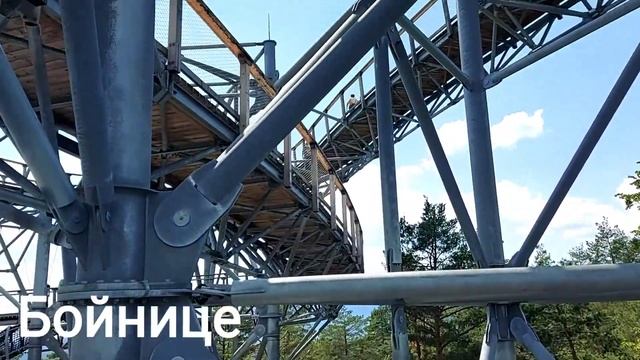 Словакия, Бойнице, Чайка в облаках