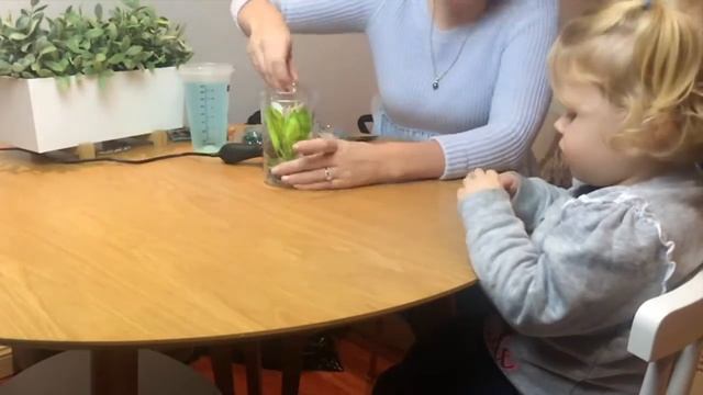 DIY AQUARIUM IN A JAR | Kids Craft Activity - Mummy Maker