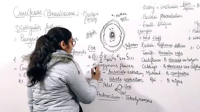Morphology of Flowering Plants | L-16 | Brassicaceae/Cruciferae | Class-11th NCERT | NEET