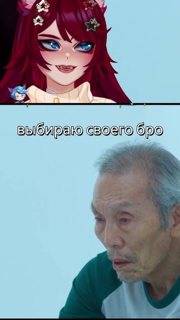 моя тима — mp