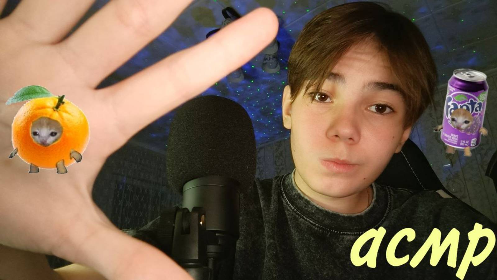 ВЕЧНЫЙ АСМР :З