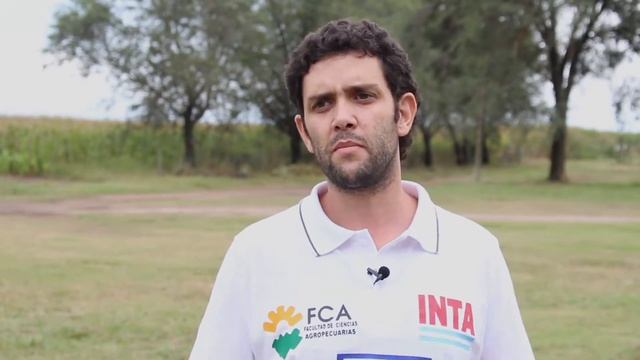 Manual para Identificación de Enfermedades en Sorgo