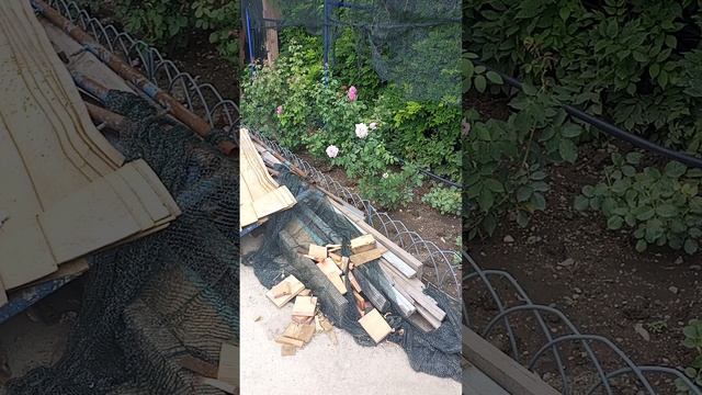 Воронцовский дворец