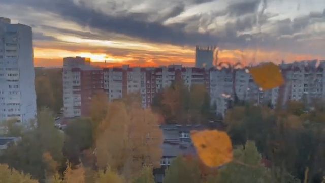 Осень бьётся в окно @ameastudio3192