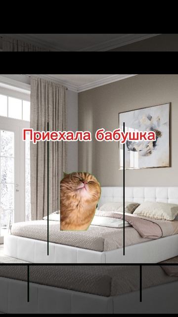 1 серия