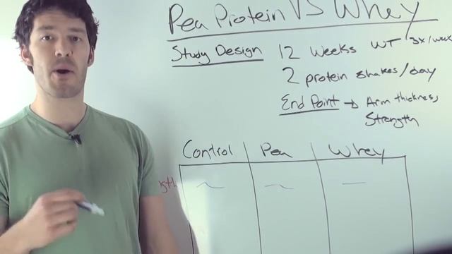 Whey Protein VS Pea Protein: do they compare?