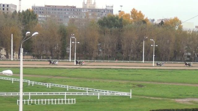 Московский ипподром. Бега. 02.10.16. Заезд 12(622)
