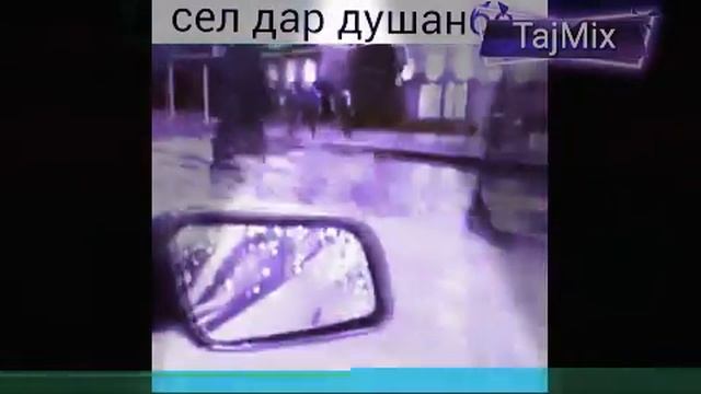 Обхези дар Душанбе 15 04 2019