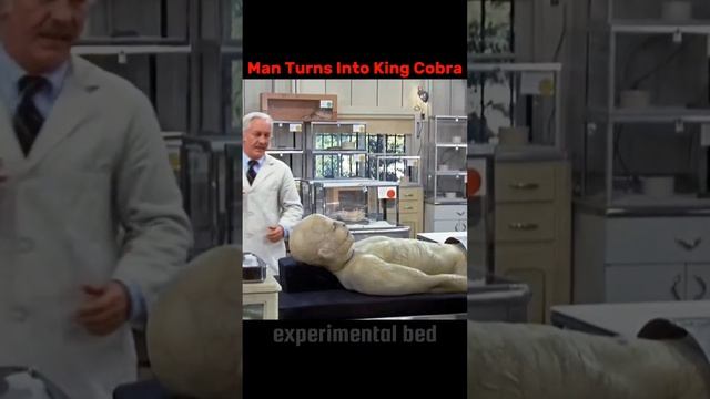 Man Turns Into a King Cobra 🐍 #shorts #movie #film
