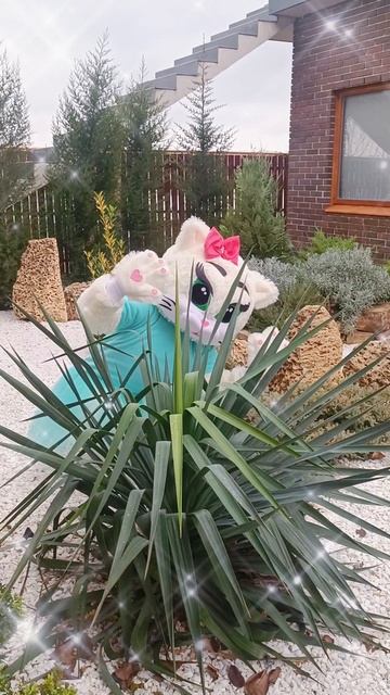 Кошки Это Кошки