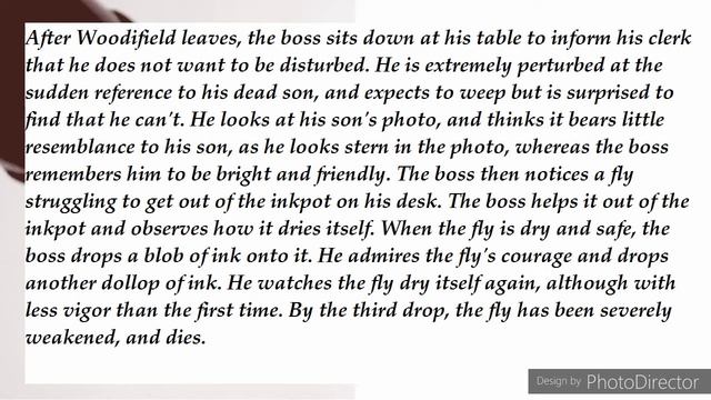 All About (The Fly by  Katherine Mansfield) Summary & Themes