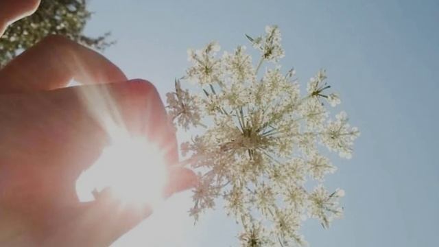 Возвращайся в Россию...