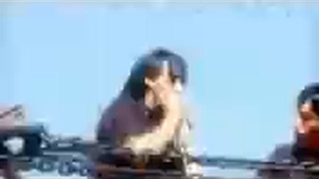 voy a llorar  pata amarilla Para TALIA