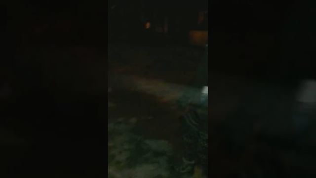 Нервные Бобр и Нюра 1 серия!