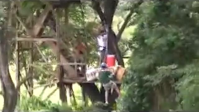 Zip Line Rotan
