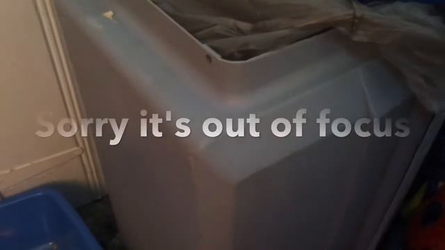 How to Clean Feline fresh Pine Cat Litter