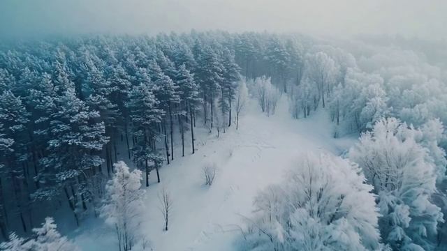 Девушки и зима ИИ