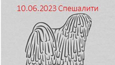 Россия 2023-1. 10.06.2023 Ринг спешалити. Сравнение на ЛС