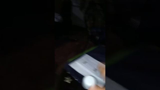 Хэйли